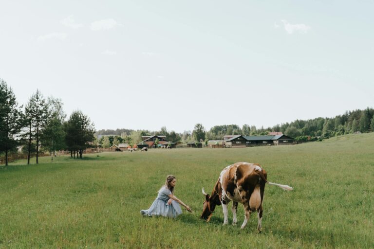 Woman in White Dress Sitting on Green Grass Field Beside Brown Cow
